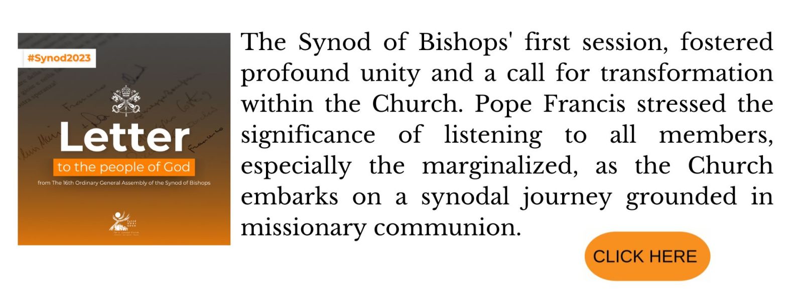 What would you want to say at the Synod?