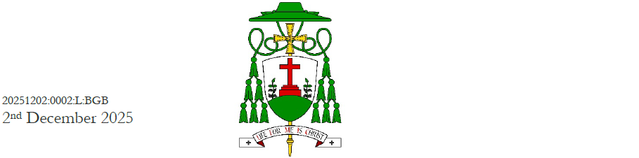 Diocese Header